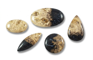 Genuine Palm Root Agate HighQuality Natural Polished Stone Featuring Rustic Patterns for Jewelry Pendants Rings Crystal Healing - Product Image 4
