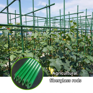 Tuteur en fibre de verre FRP durable pour plantes grimpantes, idéal pour le soutien des arbres fruitiers et des plantes de jardin (fruits de la passion) - Product Image 3