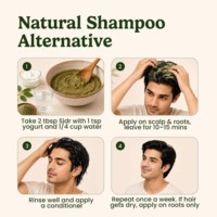Poudre de feuilles de Sidr 100% naturelle en vrac, 100g, qualité cosmétique pure, favorise la croissance et la brillance saines des cheveux