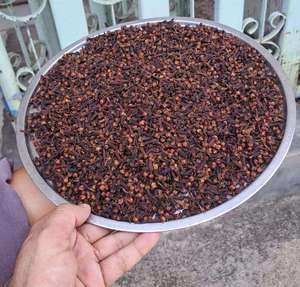 Clous de girofle noirs séchés de qualité supérieure, transformés selon le procédé AD, épice naturelle, arôme riche, goût épicé, approvisionnement en vrac de 30 kg - Product Image 2