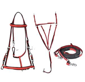 Conjunto de Brida, Pechopetral y Riendas de Cuero Premium para Equitación - Product Image 1