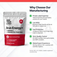 Complément Énergétique au Fer, Vitamine C, Vitamine B12, Acide Folique en Capsules pour Adultes – Marque Privée OEM, Complément Alimentaire en Vrac