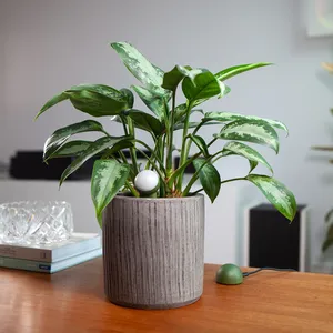 เครื่องวัดความชื้นในดิน CITICITY สำหรับพืชในบ้าน เซ็นเซอร์วัดความชื้นในดินแบบสองขา สำหรับสวนและพืช ใช้งานง่าย อ่านค่าได้ชัดเจน - Product Image 5