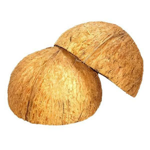 Coques de noix de coco concassées de qualité industrielle A, super absorbantes, charbon actif, fabrication en vrac, Tamil Nadu - Product Image 1