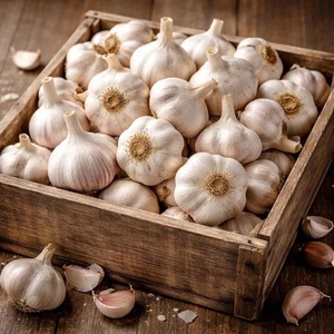 Ajo Blanco Puro 100% Orgánico, Pelado, Fresco y Dulce, de Alta Calidad, Precio al por Mayor, para Uso Alimentario - Product Image 5