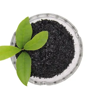 Factory Directly Wholesale Algae Natural Rganic Fertilizer Seaweed Extract Powder