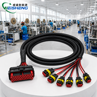 Kit de faisceau de câblage personnalisé pour BMS automobile, faisceau de câblage pour capteurs ECU ECM