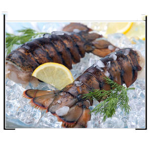 Langostas enteras frescas para compradores internacionales, mayoristas de mariscos y empresas de servicios de alimentos comerciales - Product Image 6