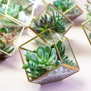 Terrarium en verre moderne de luxe artistique, pot de fleurs en métal, vase de table, support décoratif pour plantes d'intérieur, décoration élégante pour la maison, Diwali - Product Image 1