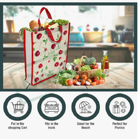 Sac de courses réutilisable en toile de coton écologique, blanc vintage, toutes saisons, avec poignées renforcées, grand sac fourre-tout pour fruits