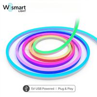 Tira de Luces LED Inteligentes RGBIC WS2812B de 5V USB, Luces de Neón a Prueba de Agua con Control Remoto por Aplicación, Color de Ensueño, Decoración para Sala de Juegos
