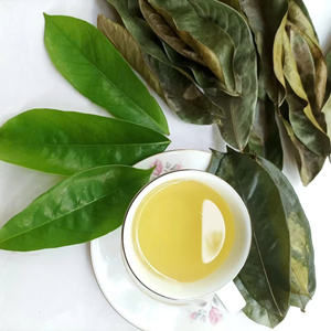 Thé de feuilles de Graviola du Vietnam séché au soleil feuilles de corossol naturel tisane emballée en vrac pour l'OEM et l'exportation - Product Image 5