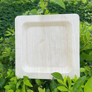 Assiettes jetables en feuilles de palmier Areca de Pangreen Global Corporation, 100% compostables, biodégradables, respectueuses de l'environnement - Product Image 4