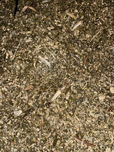 Silage de maïs, Silage de maïs riche en nutriments, Silage de maïs pour le bétail, Silage de maïs fermenté pour l'alimentation animale - Product Image 2