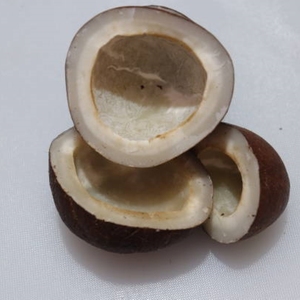 Noix de coco sèche entière maturée, noix de coco brune naturelle séchée, approvisionnement en vrac pour la distribution en gros et l'industrie alimentaire - Product Image 1