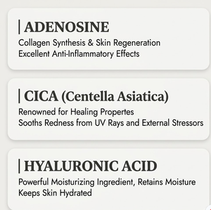 เซรั่มทรานเน็กซามิกแอซิดเกาหลี ไนอะซินาไมด์ ไฮยาลูรอนิก แอมพูล ลดเลือนจุดด่างดำ ฝ้า กระ ปรับสีผิวให้สม่ำเสมอ - Product Image 2