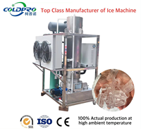 Machine à glaçons tubulaires 2T disponible en stock directement de l'usine source, personnalisation prise en charge, livraison mondiale offerte