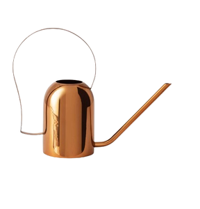 Minimalist Plants Water Can Home Gardening Silver Finished Watering Can Flowers & Garden Metal Watering Can - Product Image 3
