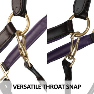 English saddle style horse bridle and <b>halter</b> made from genuine leather suitable for outdoor equestrian use - Product Image 6