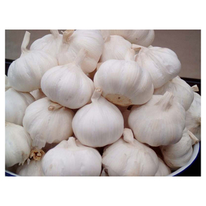 Farm Grown <b>Fresh</b> <b>Garlic</b> Export Quality Agricultural Product for International Wholesale Buyers - Product Image 5