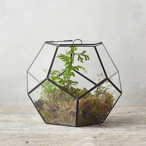 GOOD DESIGN Geometric Glass Terrarium Vases Eco-Friendly Handmade Home Decor Back to School Decoration <b>Lighting</b> Gift Item Plants - Product Image 1
