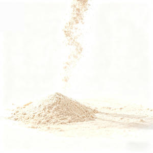 Aislado de Proteína de Cacahuete al 90% al por Mayor - Proteína Vegetal de Etiqueta Limpia para Bebidas y Snacks Enriquecidos con Proteínas - Product Image 2