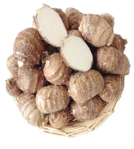 Racine de Taro Congelée IQF, Peau Brune, Pulpe Blanche, Emballage en Vrac, Approvisionnement en Gros - Product Image 6