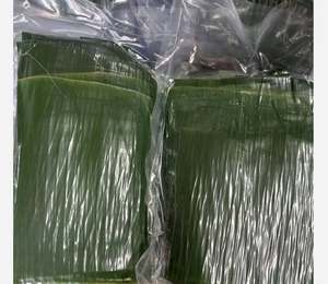 <b>Fresh</b> Banana Leaf Food Grade Natural Green Leaves for Cooking and Packaging - Product Image 4