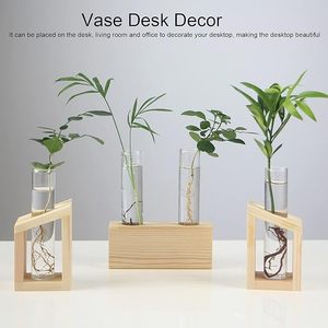 Vase en verre moderne et durable avec support en bois, récipient hydroponique pour fleurs, pot de fleurs minimaliste pour bureau, diamètre 4"-6", décoration intérieure - Product Image 5
