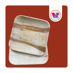 Platos Desechables Rígidos de Hoja de Palma Cuadrados de 10 Pulgadas, Aptos para Compostaje, Libres de Químicos, para Suministros de Restaurantes - Product Image 1