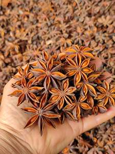 Anís Estrellado Seco Natural de Vietnam, Aroma Intenso, Especia Premium para Cocinar, Sazonar y Procesar Alimentos, Directo de Fábrica - Sra. Grace - Product Image 4