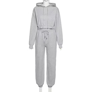 Ensemble haut court à capuche en tricot gris et pantalon de survêtement taille haute pour femme, manches longues bouffantes, coupe décontractée, couleur unie, toutes saisons - Product Image 2