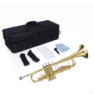 Set di Guanti Regolabili per Tromba - Strumenti in Ottone Dorato con Tonalità Drop B - Product Image 5