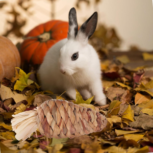 Juguetes Masticables de Jacinto de Agua para Conejos y Hámsteres, Accesorios para Masticar para Animales Pequeños, Precio Económico al por Mayor - Product Image 4