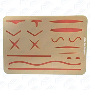 Kit de pratique de suture chirurgicale pour l'enseignement infirmier, fournitures d'anatomie et de biologie pour étudiants en médecine - Product Image 3