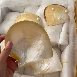 ถาดเปลือกหอยขัดเงา ลดราคาพิเศษ จานมุกธรรมชาติ จานใส่ไข่ปลาคาเวียร์ งานฝีมือสุดหรู ของขวัญ ขายส่ง - Product Image 1