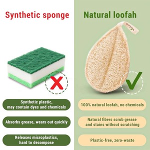Luffa naturel écologique Luffa bain cuisine éponge épurateur doux corps exfoliant gommage VN Durable vaisselle gommage propre - Product Image 3