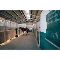 Bâtiment en structure métallique préfabriquée à prix abordable pour écurie de chevaux, pour ferme équestre, fabricant et fournisseur
