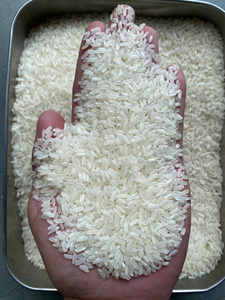 [Keith Vilaconic] Vietnamese Calrose Rice Medium-Grain Hard Texture Dried Export Quality 100% Natural Paddy White 5% Broken - Product Image 4