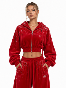 Ensemble coordonné de luxe pour femme en velours orné de cristaux, comprenant un sweat à capuche court zippé et un pantalon palazzo coupe décontractée, collection automne, personnalisable OEM ODM pour marques de mode - Product Image 4
