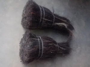 Poils de queue de vache pour la fabrication de brosses, poils de queue de bétail, poils de queue indiens bruts en lot - Product Image 3