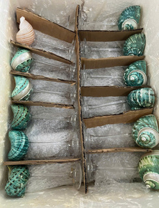 แก้วไวน์รูปทรงเปลือกหอย แก้วน้ำผลไม้ สำหรับงานขึ้นบ้านใหม่ ดีไซน์หรูหรา |   เครื่องแก้ว |   ห้องครัว ห้องรับประทานอาหาร และบาร์ |   บ้านและสวน - Product Image 4