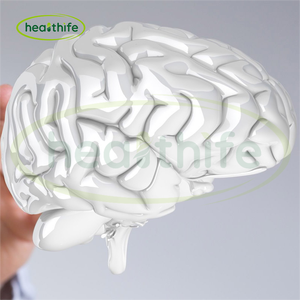 Healthife amerikan Ginseng kökü özü tozu 10:1 20:1 amerikan Ginseng özü - Product Image 3