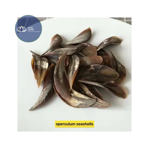 Juego de Instrumentos Quirúrgicos Ortopédicos Premium en OFERTA, 2 Años de Garantía, Venta al Por Mayor para Exportación - Product Image 2