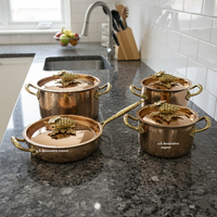 Ensemble de casseroles de luxe en acier inoxydable martelé or rose avec couvercle motif raisins, design européen, qualité professionnelle, écologique