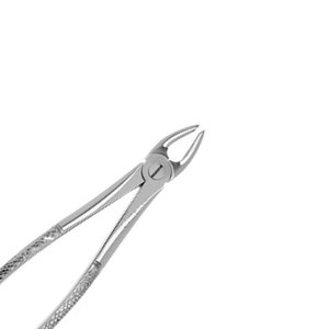 Pinzas de Extracción Tipo Berten de Calidad Premium PLUS-7, Pinzas Quirúrgicas de Acero Inoxidable Alemán para Extracción Dental - Product Image 6