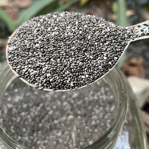 Graines de chia noires les plus vendues pour compléments nutritionnels, produits de santé et recettes, disponibles au prix direct usine - Product Image 3