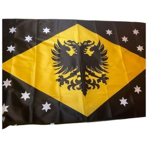 Drapeau rectangulaire en polyester avec rayures bleues, blanches et rouges et emblème central pour usage extérieur - Product Image 5