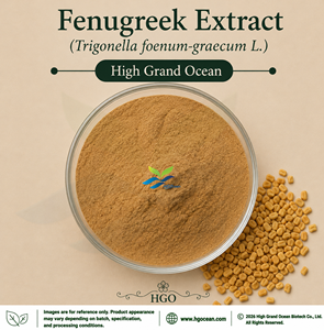 HGO Factory Direct Supply Fenugreek Extract (Trigonella foenum-graecum L.) (Food Grade) Ratio 4:1 5:1 10:1 20:1 100:1 200:1 - Product Image 1