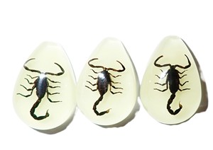 Cabochon Black Scorpion Pear Shape Cut <b>Top</b> 25x17 mm Glow Flat Bottom for Crafts and Jewelry Making - Product Image 3